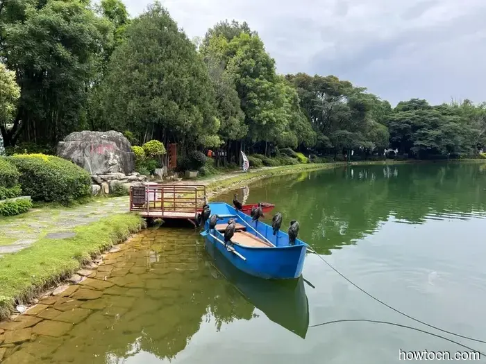 Pioneering New Opportunities in China: Dali Torch Festival - Emerging Adventurers