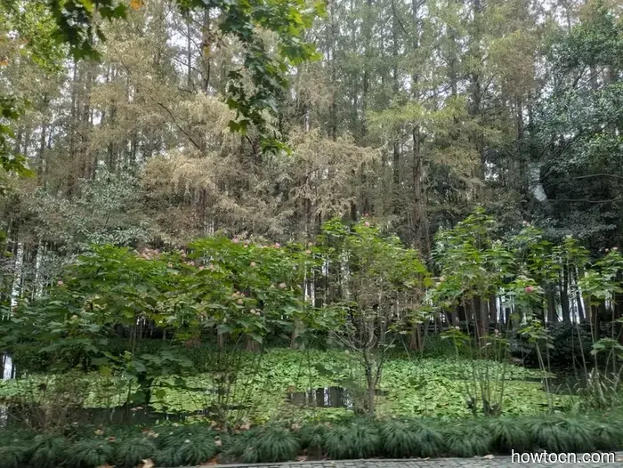 Hangzhou - Otoño 2025 e Invierno 2026