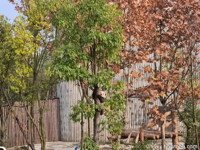 A brief view of the Himalayas - A return to Mainland China - hennaonthetrek