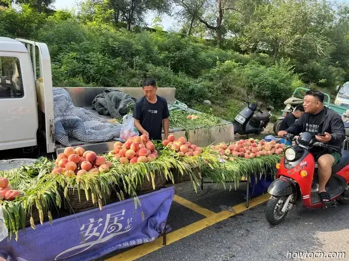 Осваивая новые горизонты в Китае: Русская улица в Даляне — начинающие исследователи