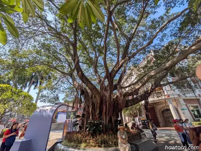 Xiamen - Autumn 2025