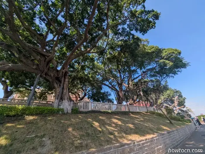 Xiamen - Autumn 2025