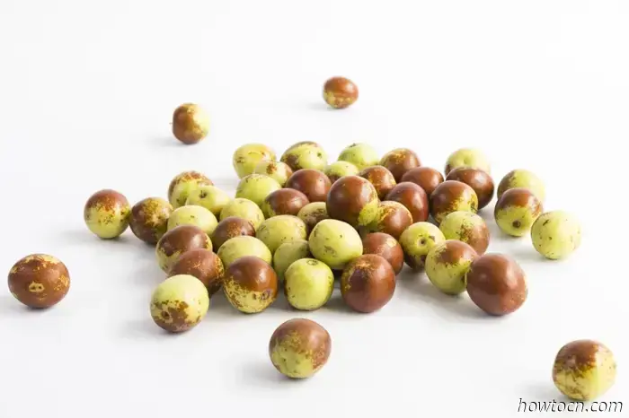 Ecco la verità: la frutta semplicemente ha un sapore migliore (ed è più salutare per te e per l’ambiente) quando viene consumata nella stagione giusta. Tuttavia può essere difficile per noi sapere cosa è di stagione a Pechino, dato che molti prodotti sono importati da regioni e paesi vicini. Qui ti guidiamo su quali frutti cercare al tuo mercato locale così potrai sgranocchiare il meglio che Pechino ha da offrire.
Fichi (无花果 wúhuāguǒ)
Originari del Medio Oriente e dell’Asia occidentale, i fichi non solo hanno un ottimo sapore ma sono anche un elemento ornamentale molto diffuso nei giardini, fattore che ha contribuito alla loro crescente popolarità nel mondo. I fichi appartengono alla famiglia del gelso, sono molto dolci nel periodo di massima produzione e sono ricchi di vitamine, minerali, carboidrati e proteine.
Giuggiolo/Datteri cinesi (大枣 dà zǎo)
Come uno dei leggendari Cinque Frutti (五果 wǔ guǒ), il giuggiolo, noto anche come dattero cinese o dattero rosso, ha una storia lunghissima in Cina, che risale a oltre 8.000 anni fa.
In Occidente i datteri sono quasi sempre venduti secchi, ma qui troverai facilmente giuggioli freschi nei mercati locali e dai venditori ambulanti. Vanno dal giallo chiaro al marrone scuro, a seconda della varietà. Il giuggiolo è molto popolare in Cina in parte per il suo gusto dolce e croccante, e anche perché si crede che i suoi alti livelli di fibre e antiossidanti contrastino gli effetti dell’invecchiamento. Attenzione: mangiare troppi datteri in una sola volta può causare flatulenza, quindi procedi con cautela.
Pompelmi (柚子 yòuzi)
Il pompelmo ha uno dei più alti contenuti d’acqua tra i frutti, fino al 92 percento. È inoltre ricco di vitamine A e C, fibre, e ha pochissime calorie, il che lo rende utile per abbassare la pressione sanguigna e controllare la glicemia. I pompelmi sono generalmente disponibili in due varietà, bianca e rossa, quest’ultima con un valore nutrizionale e un prezzo più elevati.
Melograno (石榴 shíliú)
Disponibili di solito dalla fine di settembre, i melograni sono uno dei nostri frutti preferiti per la stagione fresca. Il succo dolce contenuto nell’arillo (sacca) del seme del melograno è ricco di fibre e vitamina C, entrambi molto utili per prevenire la stitichezza, abbassare i livelli di colesterolo e regolare la glicemia. Abbina il melograno a verdure a foglia verde per aumentare l’assorbimento del calcio.
Cachi (柿子 shìzi)
Sebbene esistano molte varietà di cachi, quelli che troverai più comunemente a Pechino sono i rotondi, rossastri e bassi di tipo fuyu, che si distinguono dalle altre varietà perché possono essere consumati anche quando sono ancora sodi. Frutto tipico del Nord, sono ricchi di nutrienti come saccarosio, glucosio, carotene e vitamine. Il periodo migliore per i cachi va dalla fine di settembre all’inizio di novembre.
Kiwi (猕猴桃 míhóutáo)
Maturi dall’inizio di settembre all’inizio di novembre, i kiwi sono molto popolari non solo per il loro sapore delizioso ma anche per le loro abbondanti proprietà nutritive. Il kiwi è ricco di fibre, vitamine C ed E e antiossidanti, che contribuiscono a una pelle sana; i composti ricchi di flavonoidi favoriscono l’assorbimento del ferro nell’organismo, rafforzano le difese immunitarie e aiutano la digestione.
LEGGI: Conosci i tuoi tè: un ampio e variegato spettro di tazze
Foto: Unsplash, Pexels, Canva