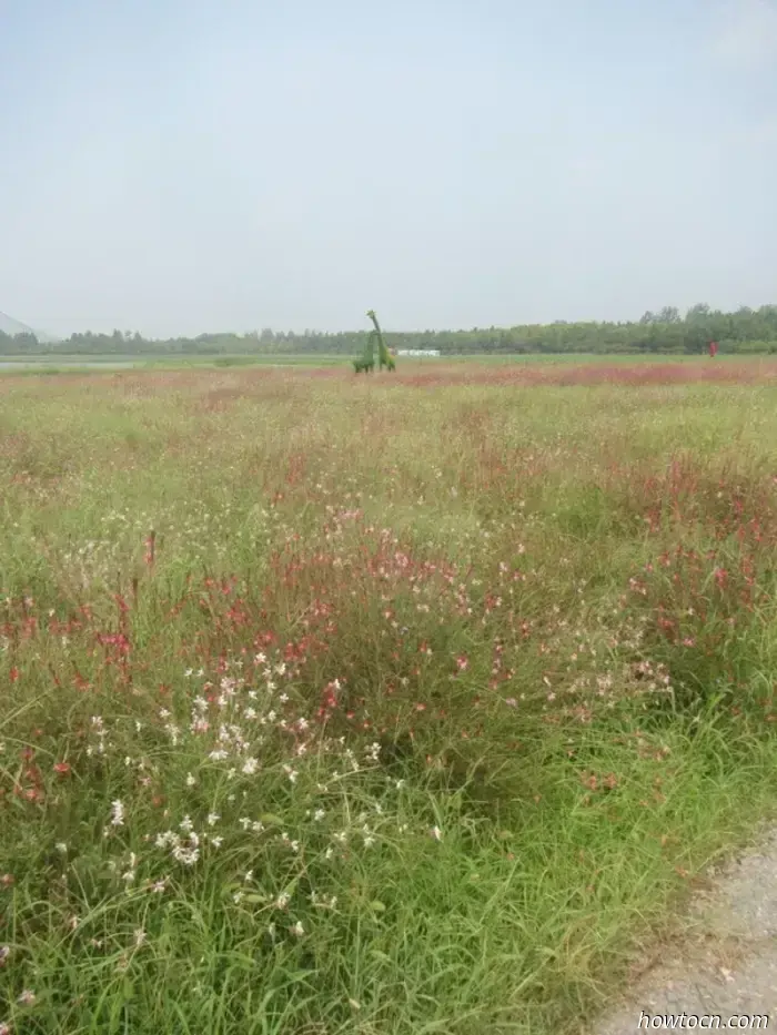 Gucheng Lake "Slow City" - Without a Permanent Location