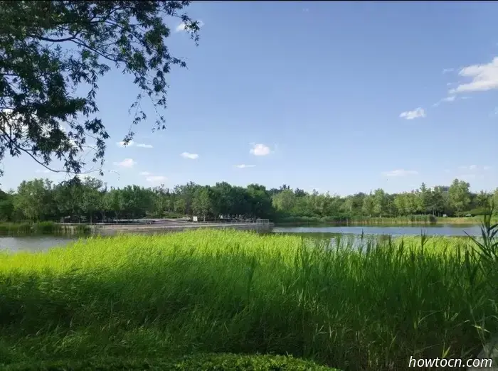 Un Soplo de Aire Fresco en los Oasis Forestales de Pekín