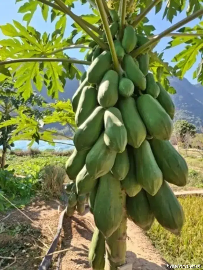 Изобильный Гуанси — радостные приключения