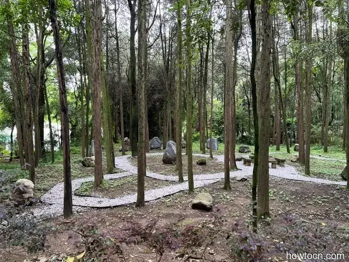 Pioneering New Paths in China: Dali Torch Festival - Emerging Adventurers