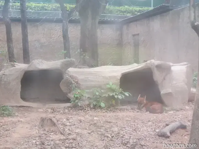 Guangzhou Zoo und Ozeanwelt - Keine feste Adresse
