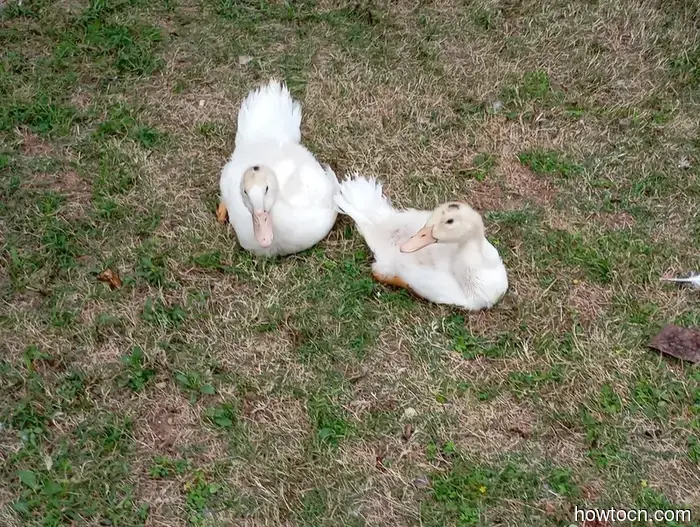 Vorrei che potessimo restare più a lungo. - Macao e Cina.