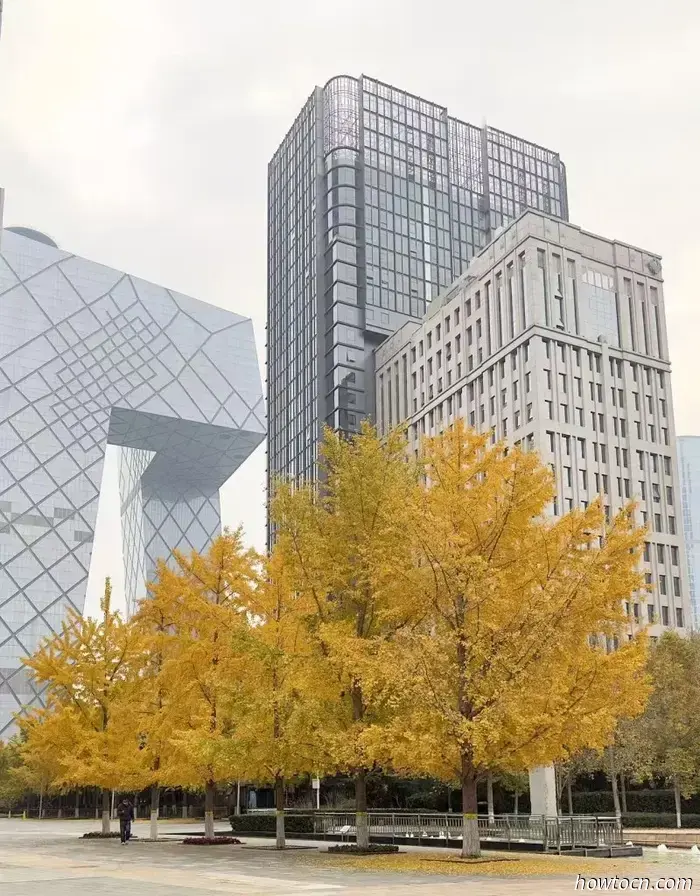 Il meglio di Pechino nelle foto dei lettori: fogliame autunnale