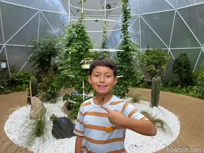 Pioneering New Opportunities in China: Dali Torch Festival - Emerging Adventurers