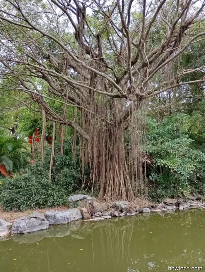 Desearía que pudiéramos quedarnos más tiempo. - Macao y China.
