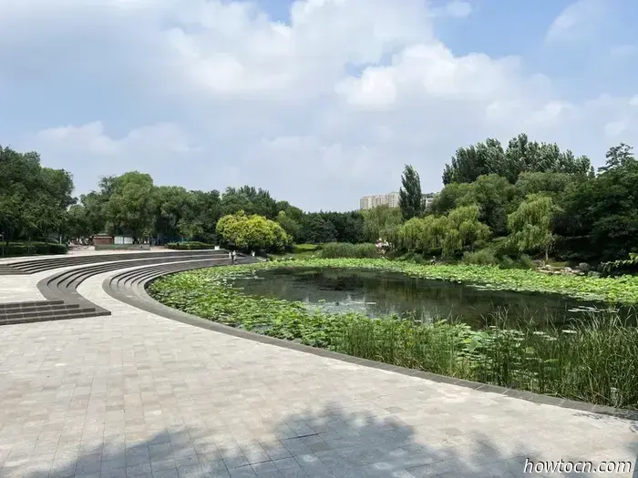 Открывая новые горизонты в Китае: парки Цзиньчжоу — юные исследователи