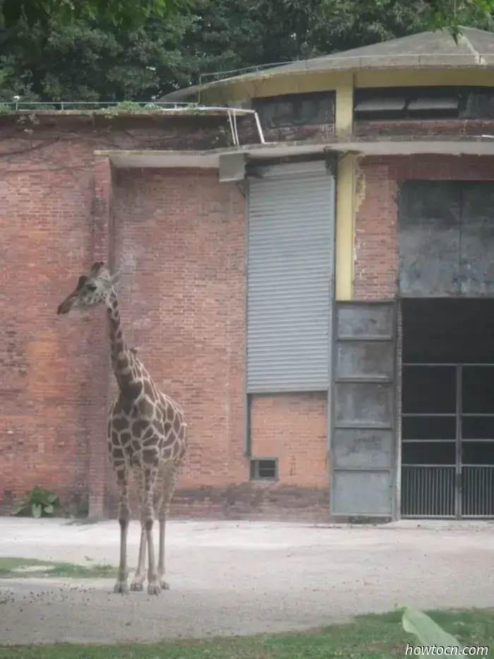 Guangzhou Zoo und Ozeanwelt - Keine feste Adresse