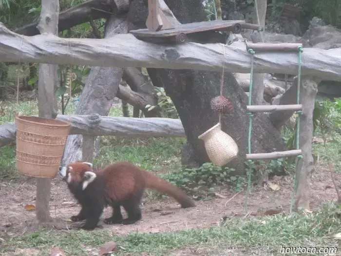 Guangzhou Zoo und Ozeanwelt - Keine feste Adresse