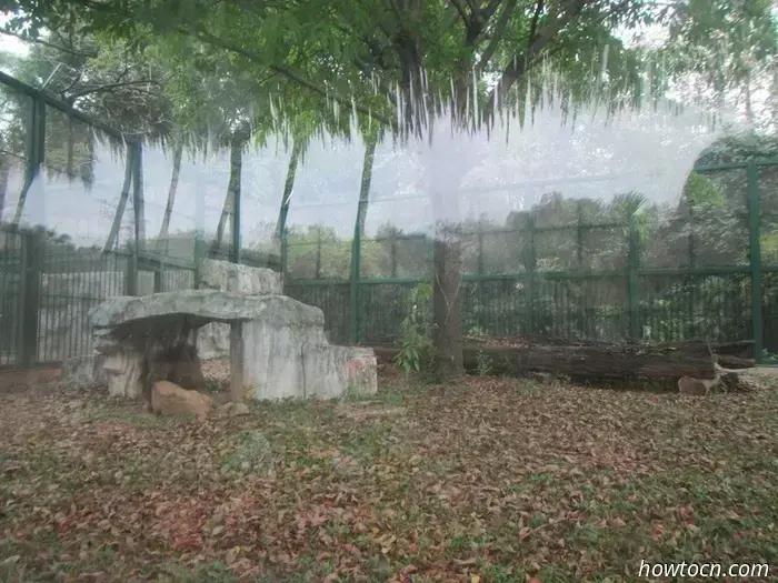 Guangzhou Zoo und Ozeanwelt - Keine feste Adresse