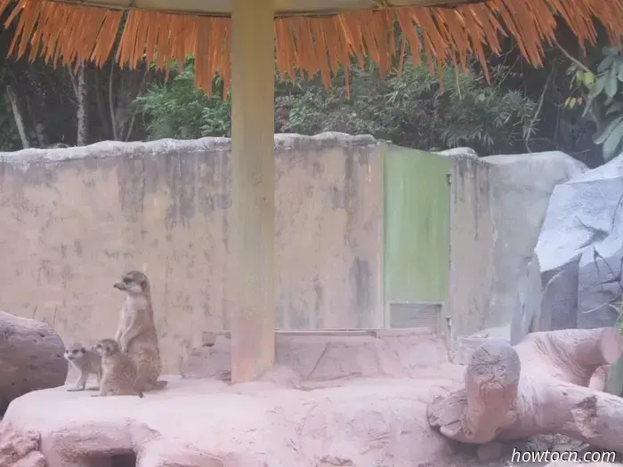 Guangzhou Zoo und Ozeanwelt - Keine feste Adresse