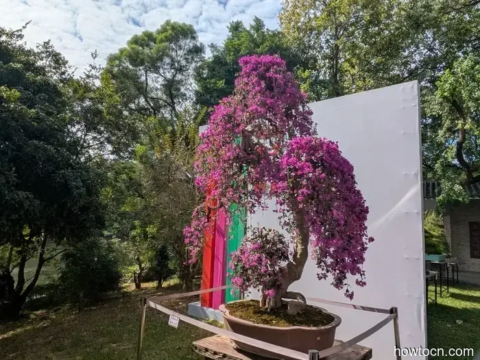 Guangzhou - Herbst 2025 und Winter 2026