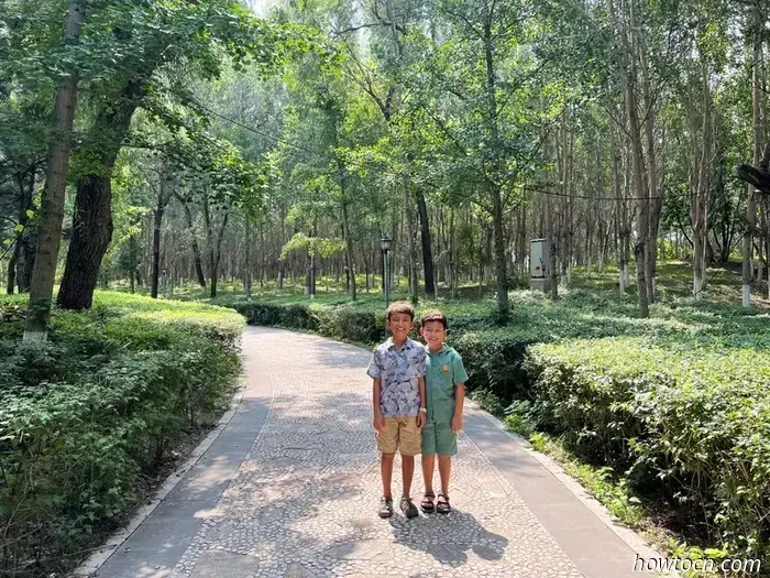 Открывая новые горизонты в Китае: парки Цзиньчжоу — юные исследователи