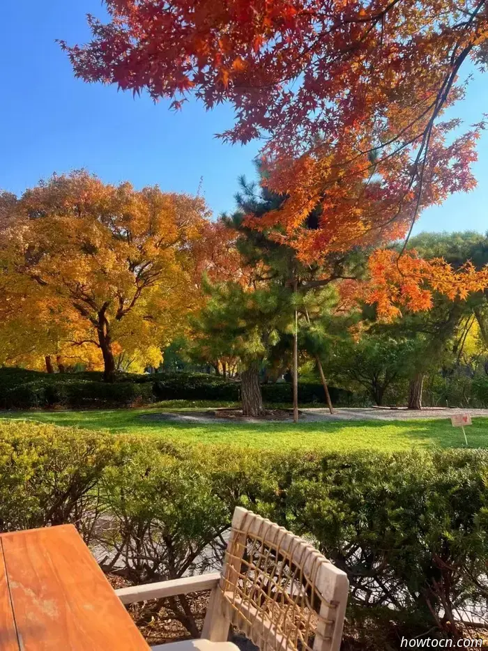 Il meglio di Pechino nelle foto dei lettori: fogliame autunnale
