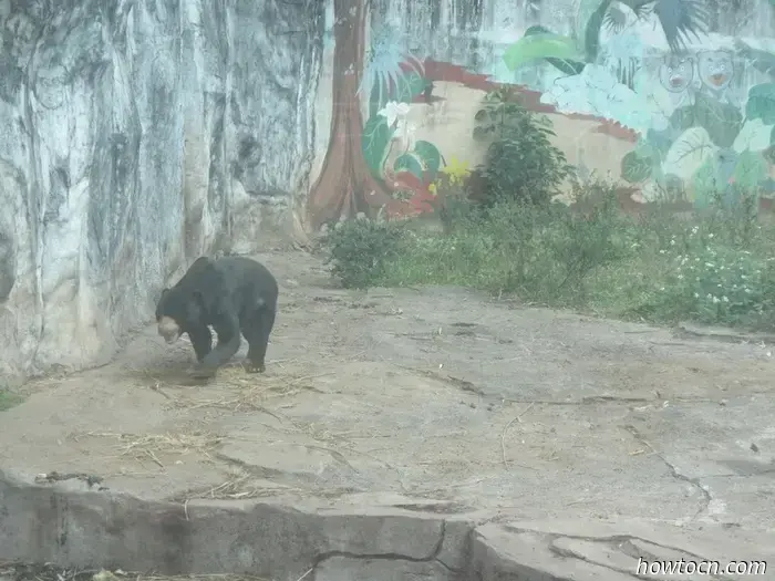 Guangzhou Zoo und Ozeanwelt - Keine feste Adresse