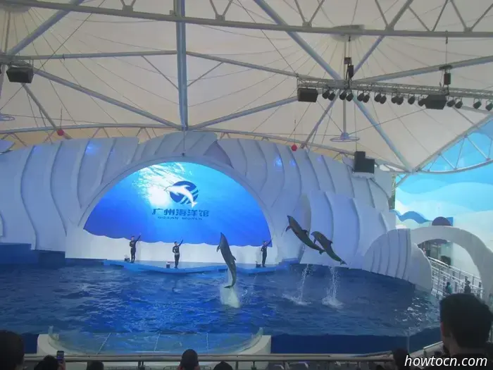Guangzhou Zoo und Ozeanwelt - Keine feste Adresse