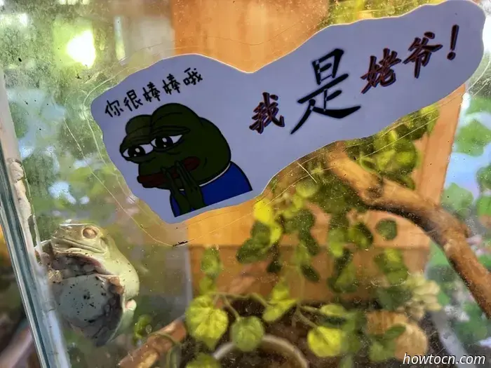 Aprire nuovi orizzonti in Cina: Bijiashan - Esploratori alle prime armi