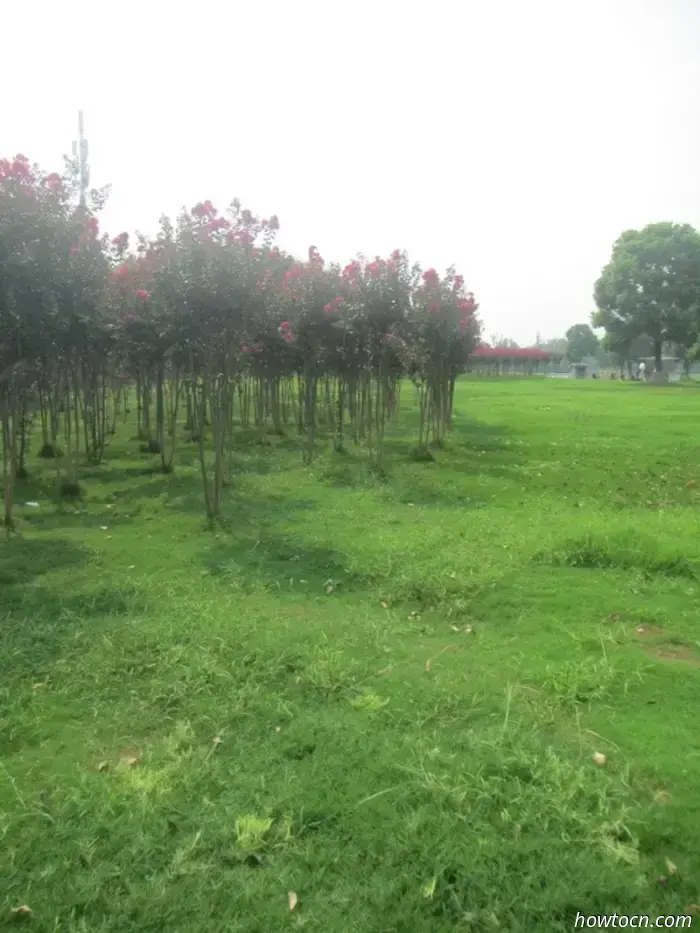 Lago Gucheng "Città lenta" - Senza indirizzo fisso