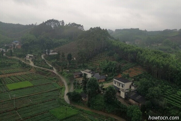 2023 - China (Cuarta parte: Emei Shan y Chengdu) - Blog de viajes de Glynn