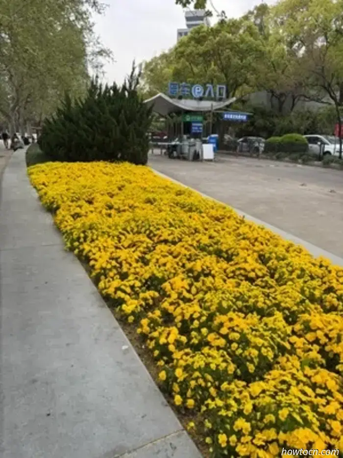 Giorni 93 e 94-Shanghai, Cina-Crociera intorno al mondo con Susan