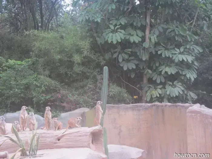 Guangzhou Zoo und Ozeanwelt - Keine feste Adresse