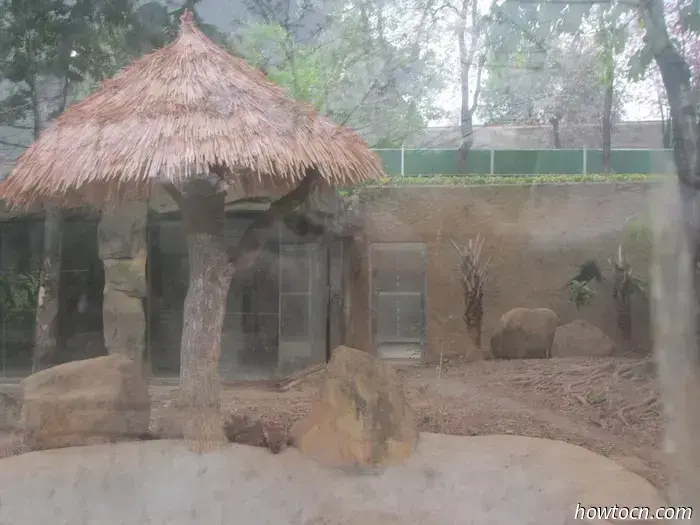Guangzhou Zoo und Ozeanwelt - Keine feste Adresse