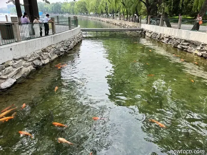 Neuland in China erschließen: Die Seen Beijings und 798 – Junge Entdecker