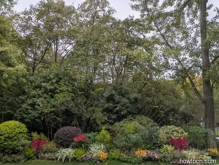 Hangzhou - Otoño 2025 e Invierno 2026