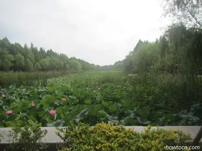 Ein langes Wochenende in Xuzhou - Keine feste Adresse