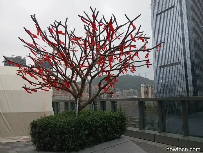 Vorrei che potessimo restare più a lungo. - Macao e Cina.