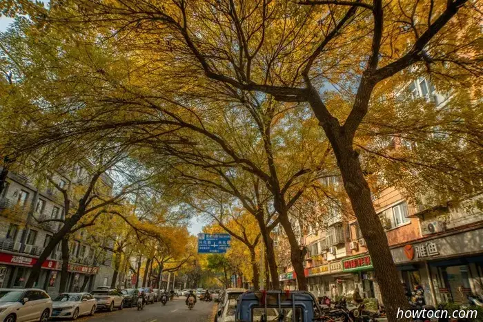 Il meglio di Pechino nelle foto dei lettori: fogliame autunnale