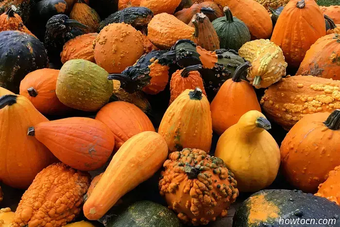 Disfruta de la temporada de calabazas y calabacines con estas recetas