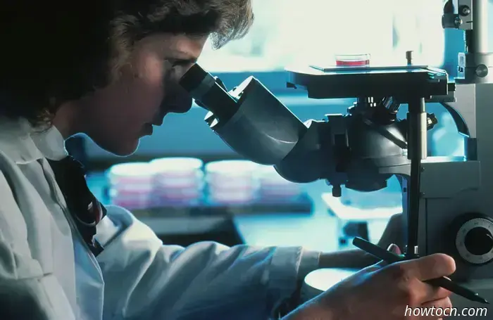 Beijing News: il Consiglio di Stato introduce un nuovo visto STEM