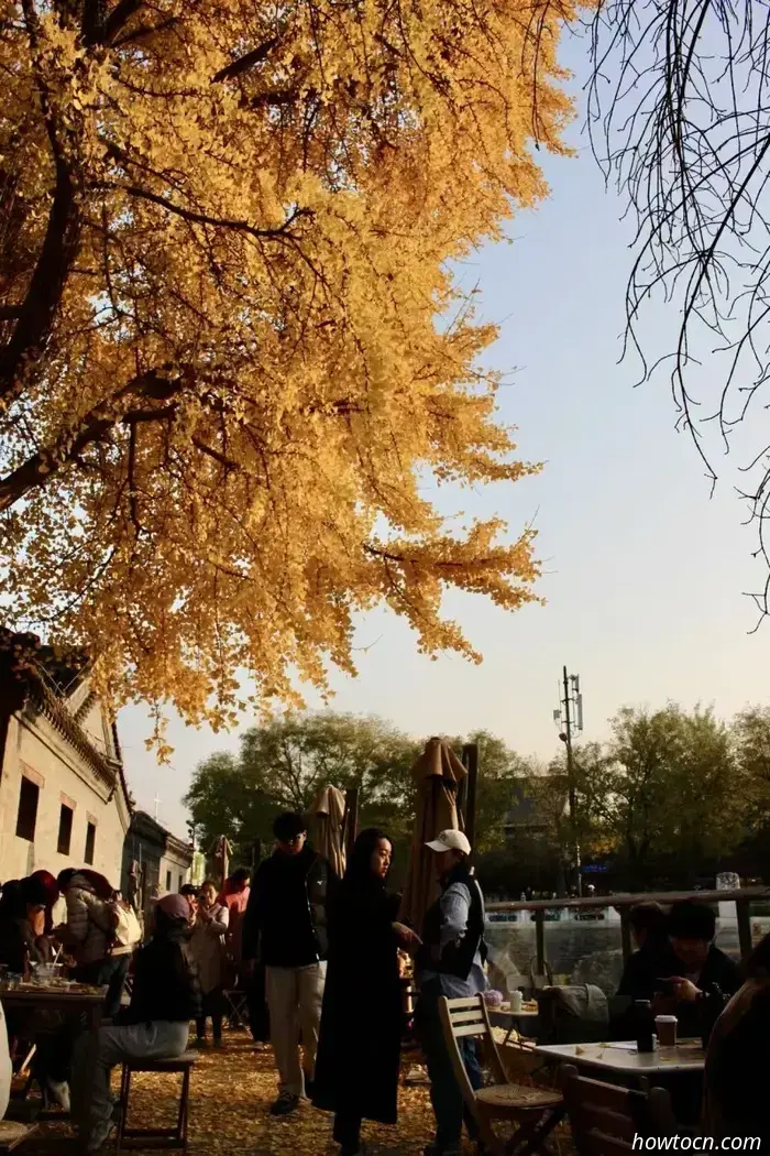 Il meglio di Pechino nelle foto dei lettori: fogliame autunnale